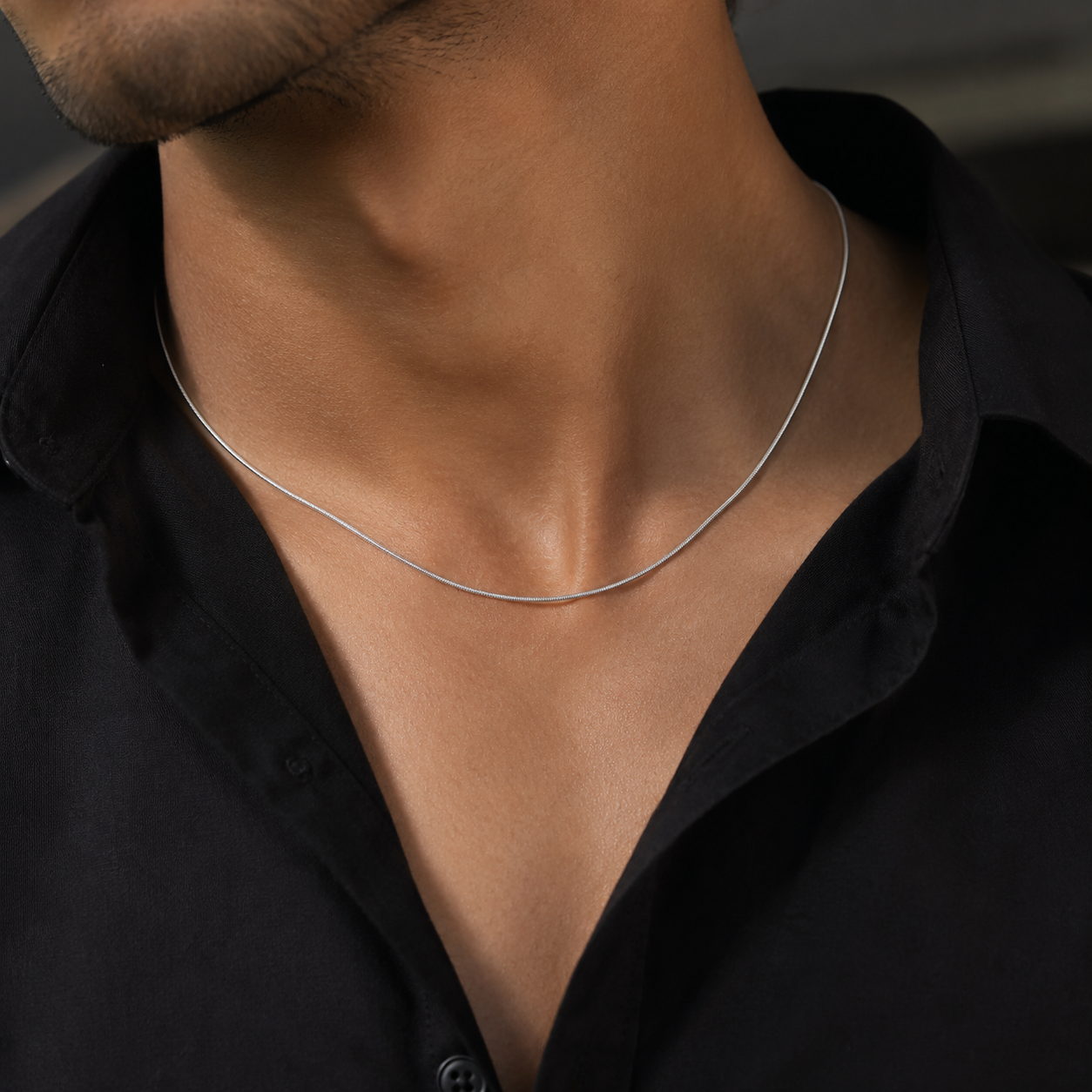 Silver Snake Chain